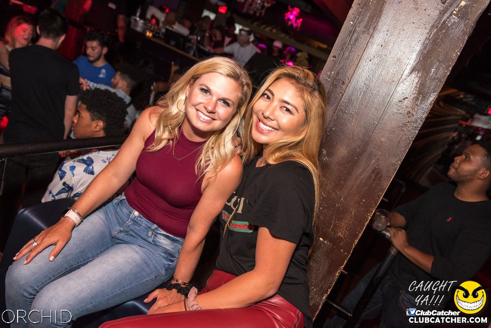 Orchid nightclub photo 149 - August 24th, 2019