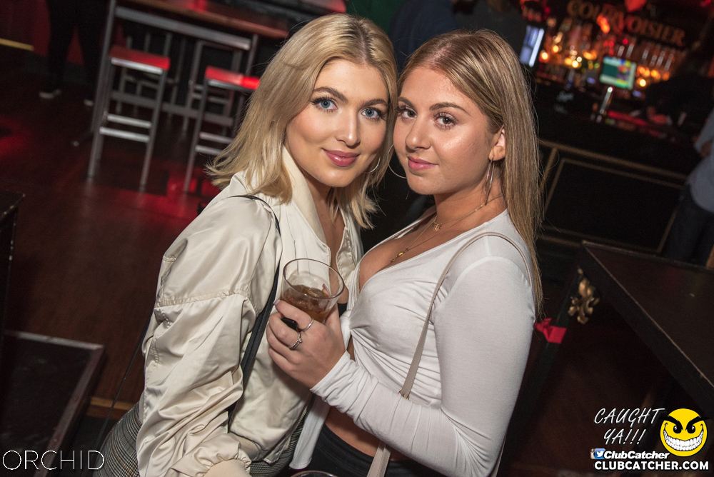 Orchid nightclub photo 163 - August 24th, 2019