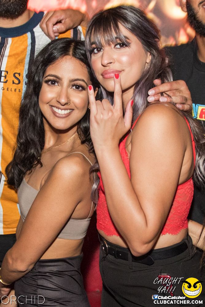 Orchid nightclub photo 164 - August 24th, 2019