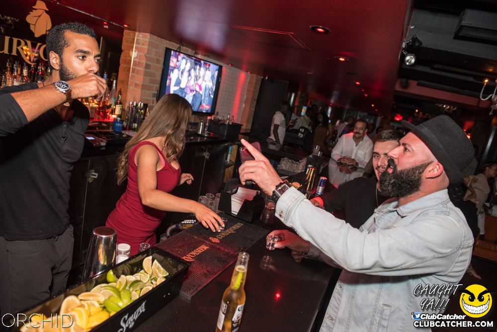 Orchid nightclub photo 168 - August 24th, 2019