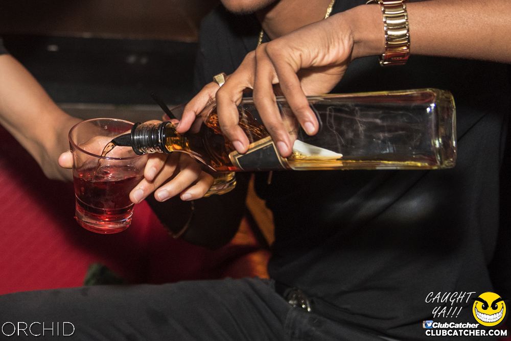 Orchid nightclub photo 18 - August 24th, 2019