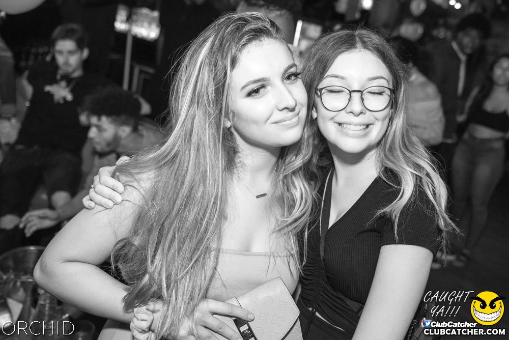 Orchid nightclub photo 171 - August 24th, 2019