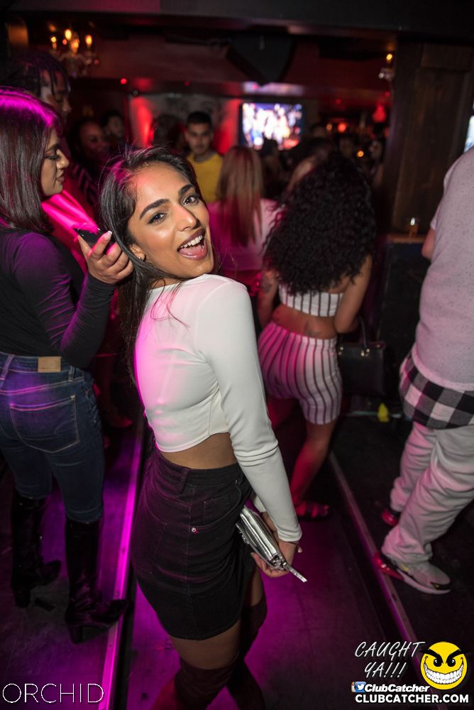 Orchid nightclub photo 176 - August 24th, 2019