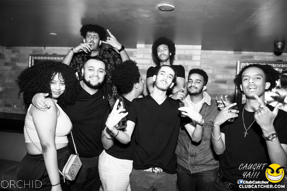 Orchid nightclub photo 177 - August 24th, 2019