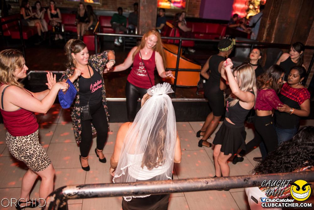 Orchid nightclub photo 180 - August 24th, 2019