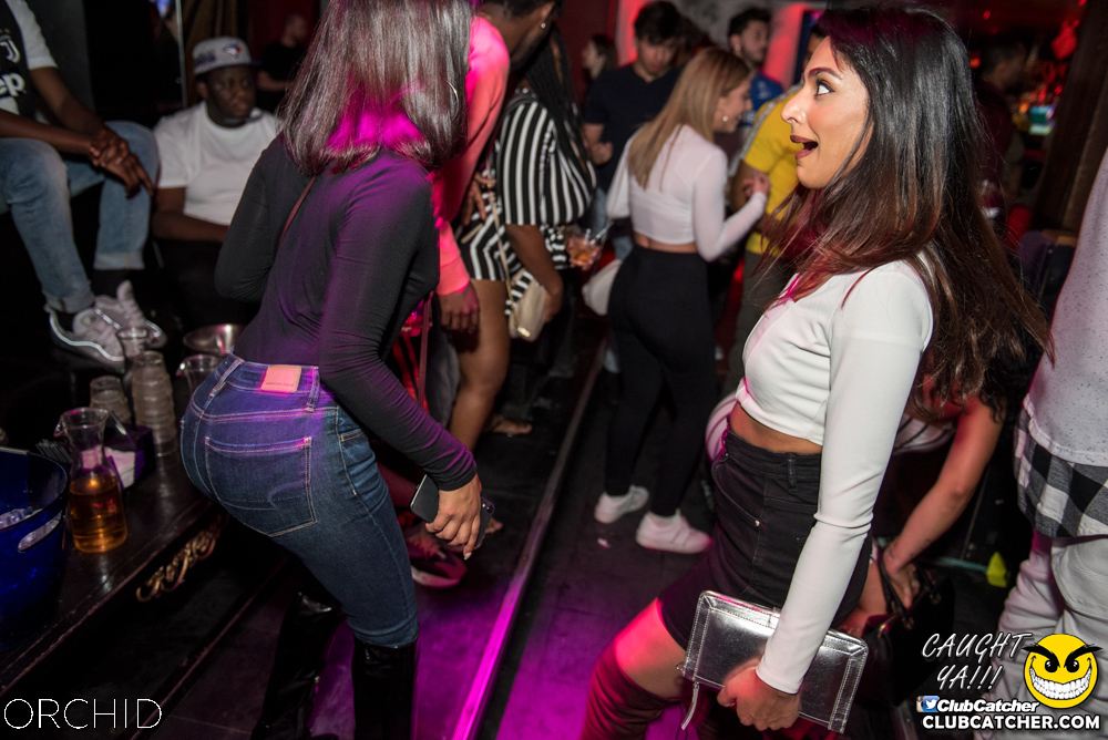Orchid nightclub photo 183 - August 24th, 2019