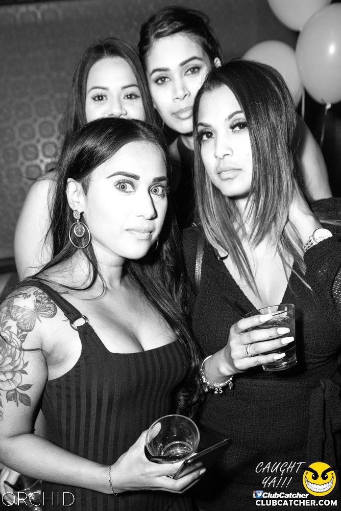 Orchid nightclub photo 199 - August 24th, 2019