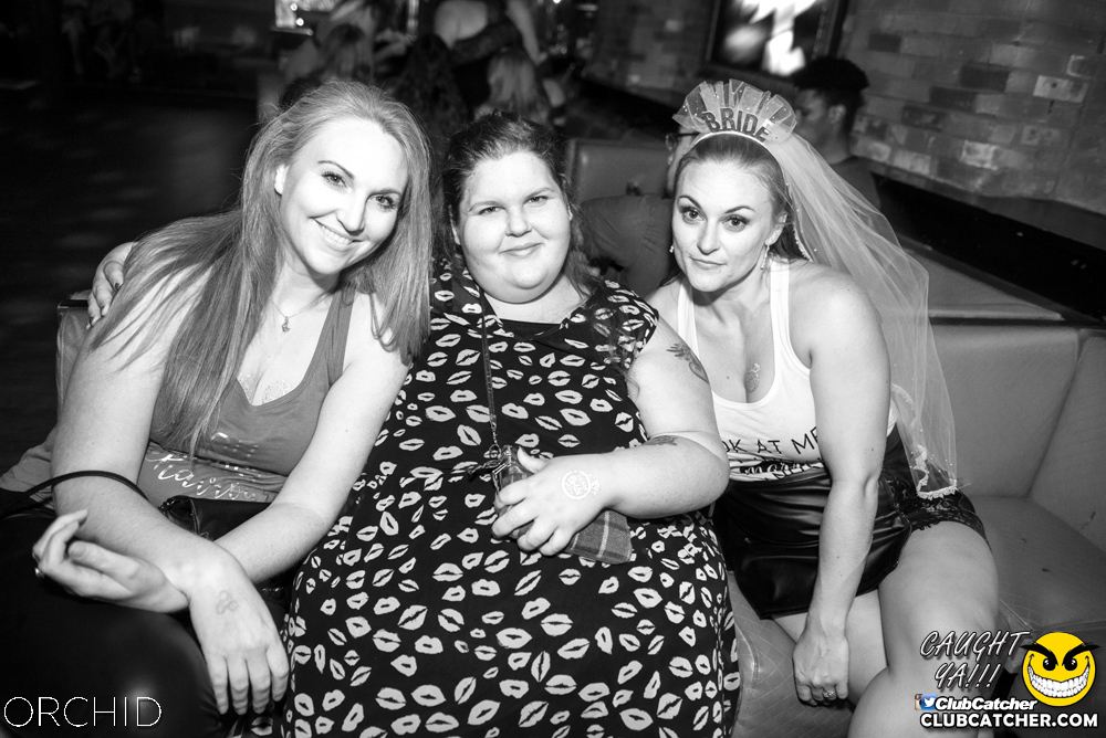 Orchid nightclub photo 200 - August 24th, 2019