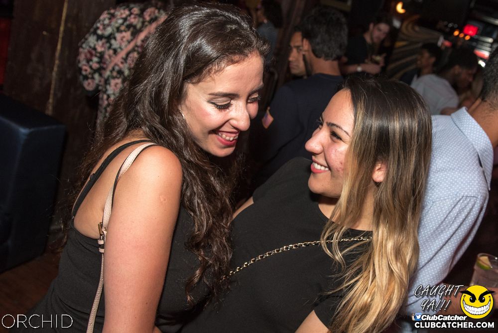 Orchid nightclub photo 21 - August 24th, 2019