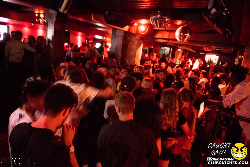 Orchid nightclub photo 203 - August 24th, 2019