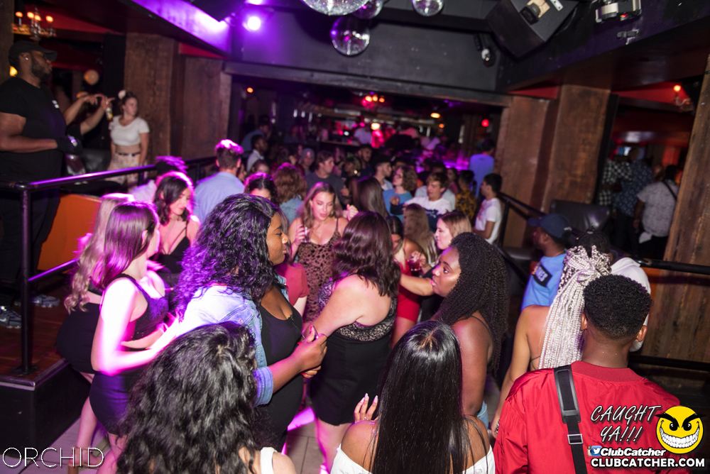 Orchid nightclub photo 204 - August 24th, 2019