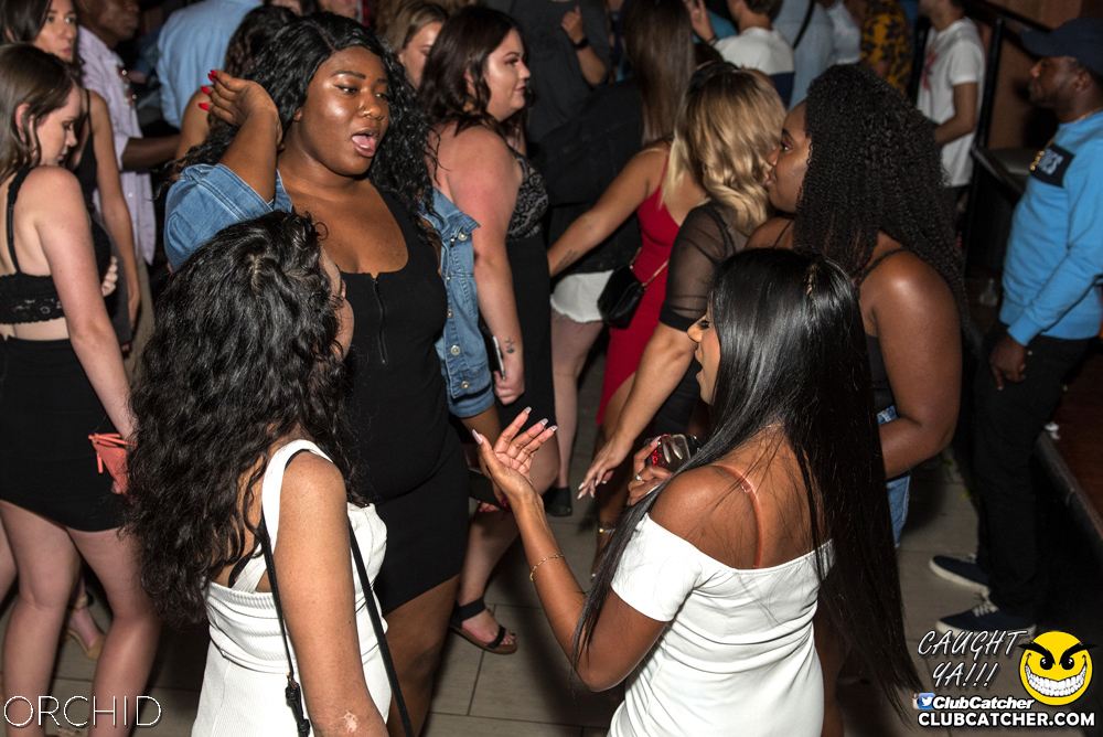 Orchid nightclub photo 205 - August 24th, 2019