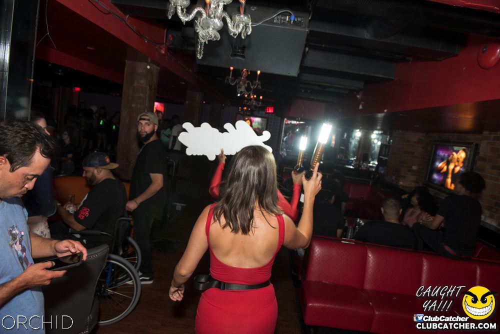 Orchid nightclub photo 208 - August 24th, 2019
