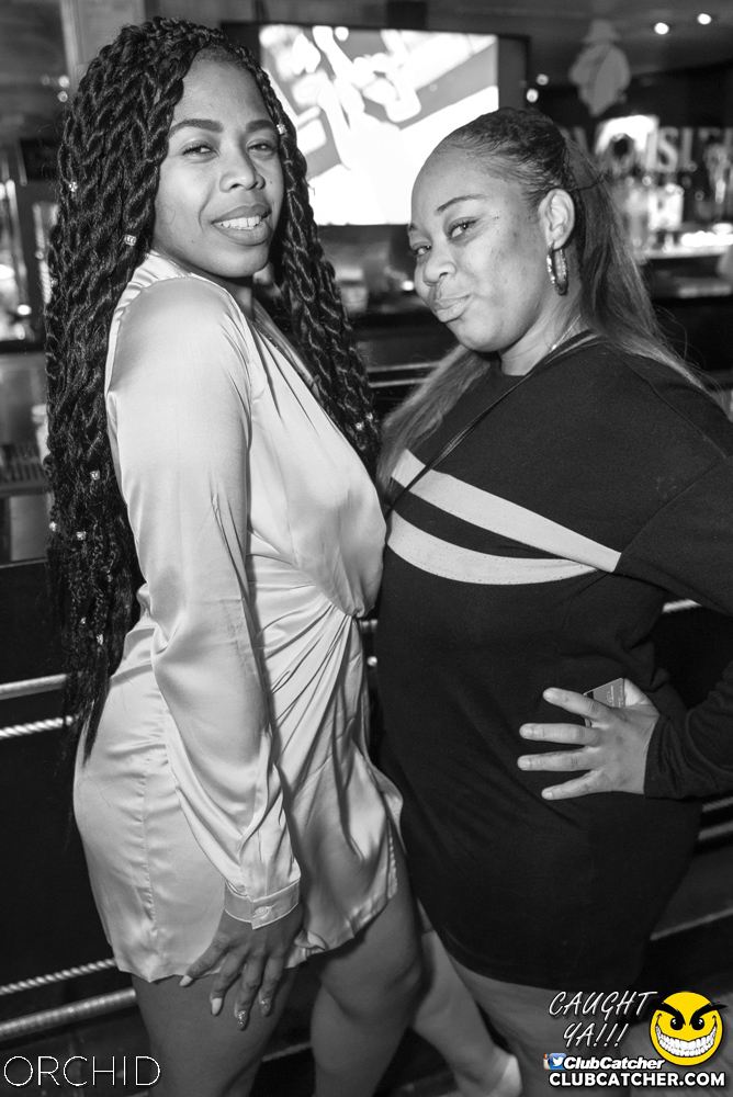Orchid nightclub photo 210 - August 24th, 2019