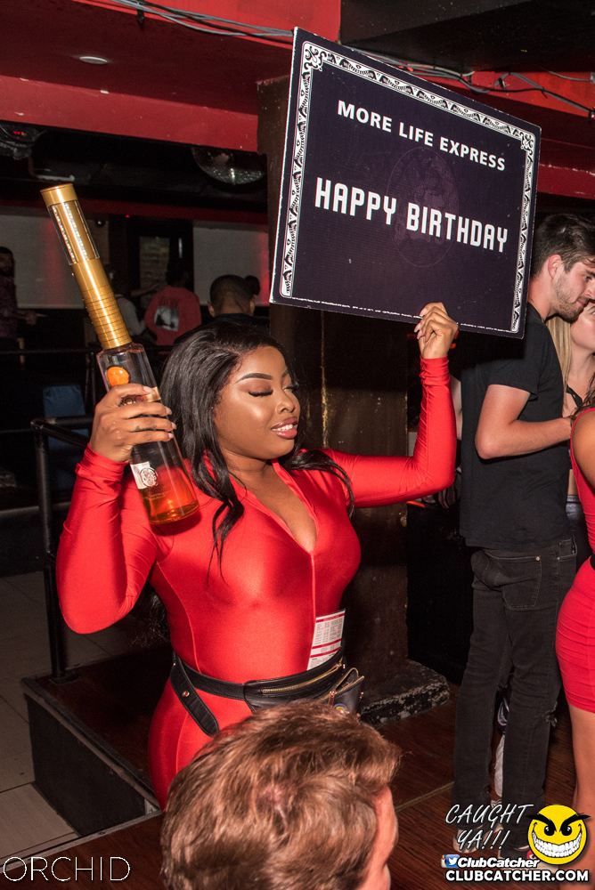 Orchid nightclub photo 212 - August 24th, 2019