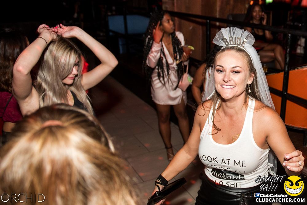 Orchid nightclub photo 213 - August 24th, 2019