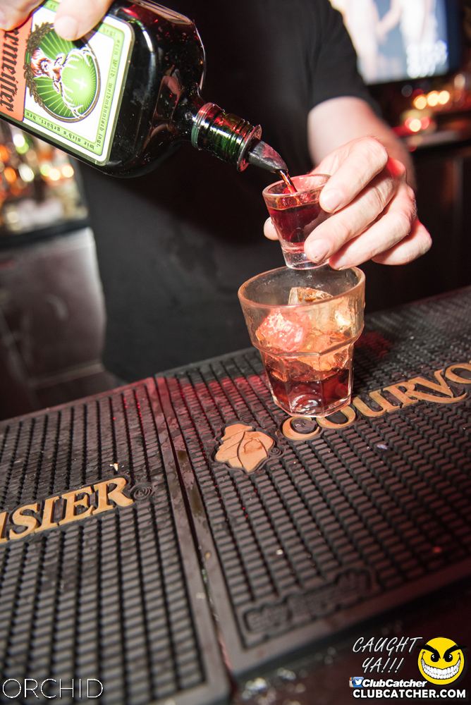 Orchid nightclub photo 26 - August 24th, 2019