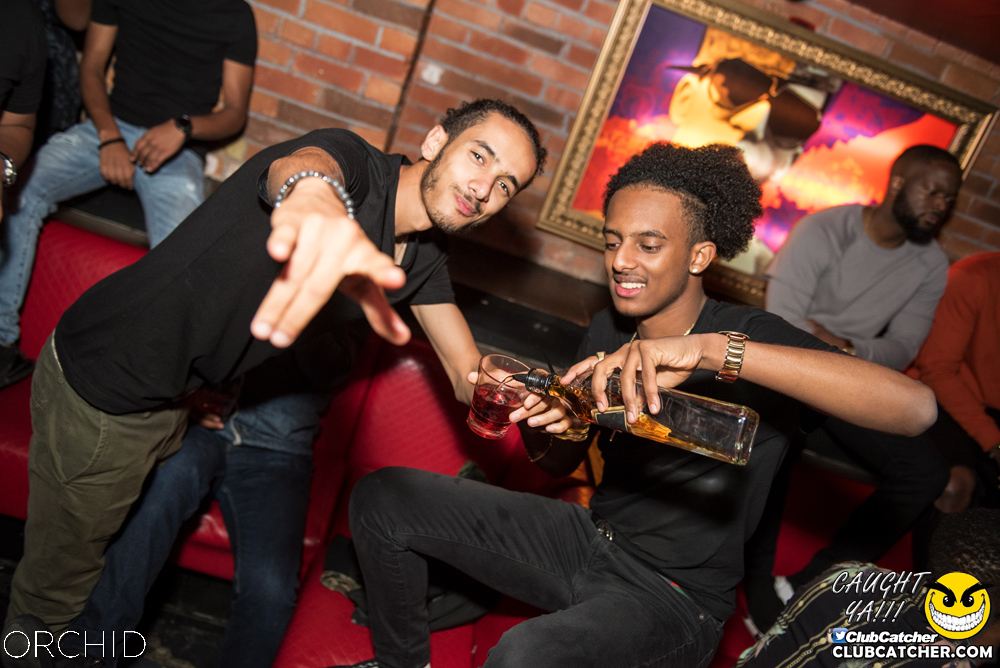 Orchid nightclub photo 29 - August 24th, 2019
