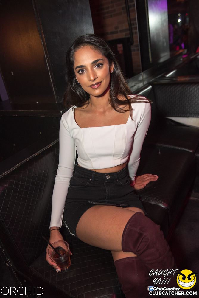 Orchid nightclub photo 30 - August 24th, 2019