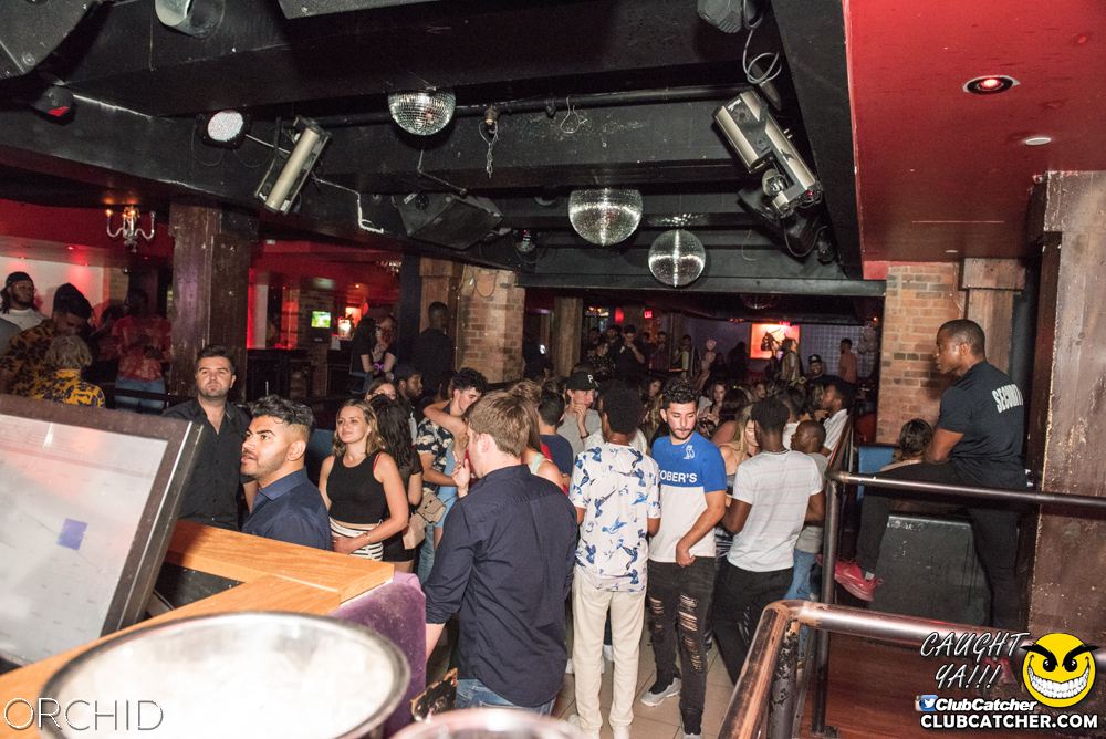 Orchid nightclub photo 36 - August 24th, 2019
