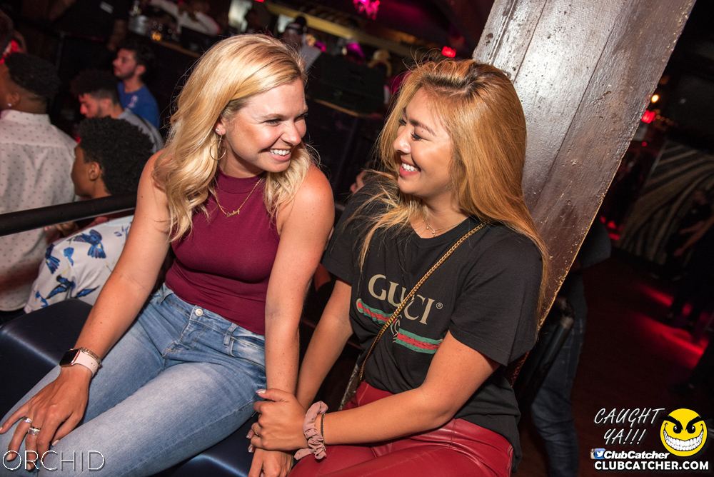 Orchid nightclub photo 41 - August 24th, 2019