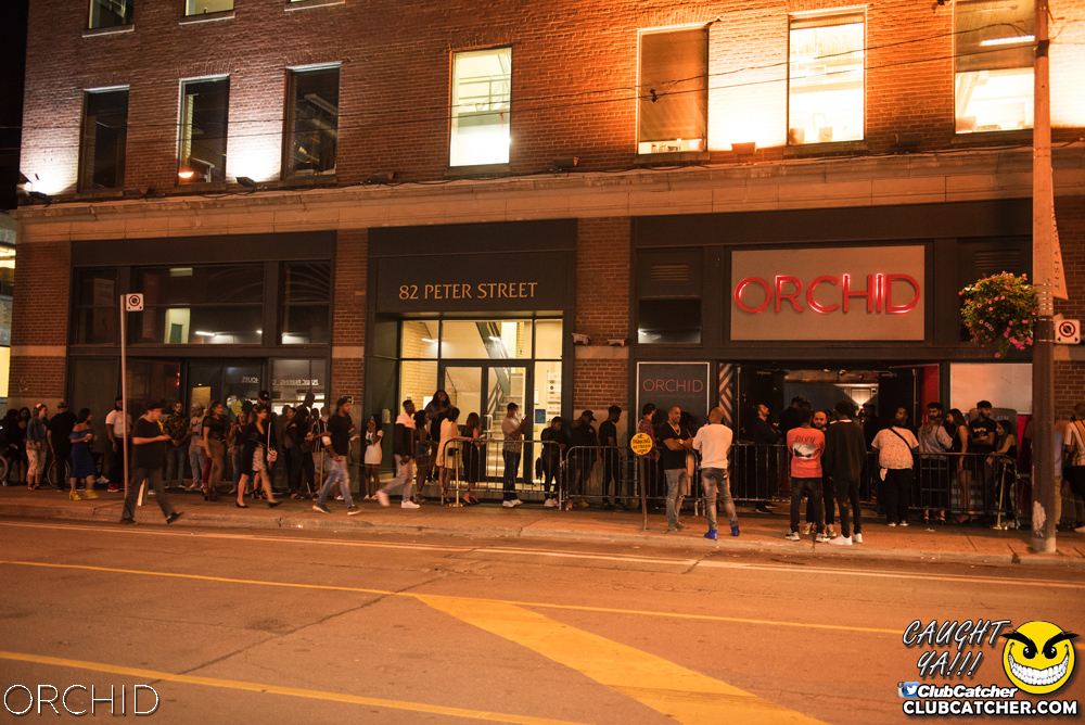 Orchid nightclub photo 6 - August 24th, 2019