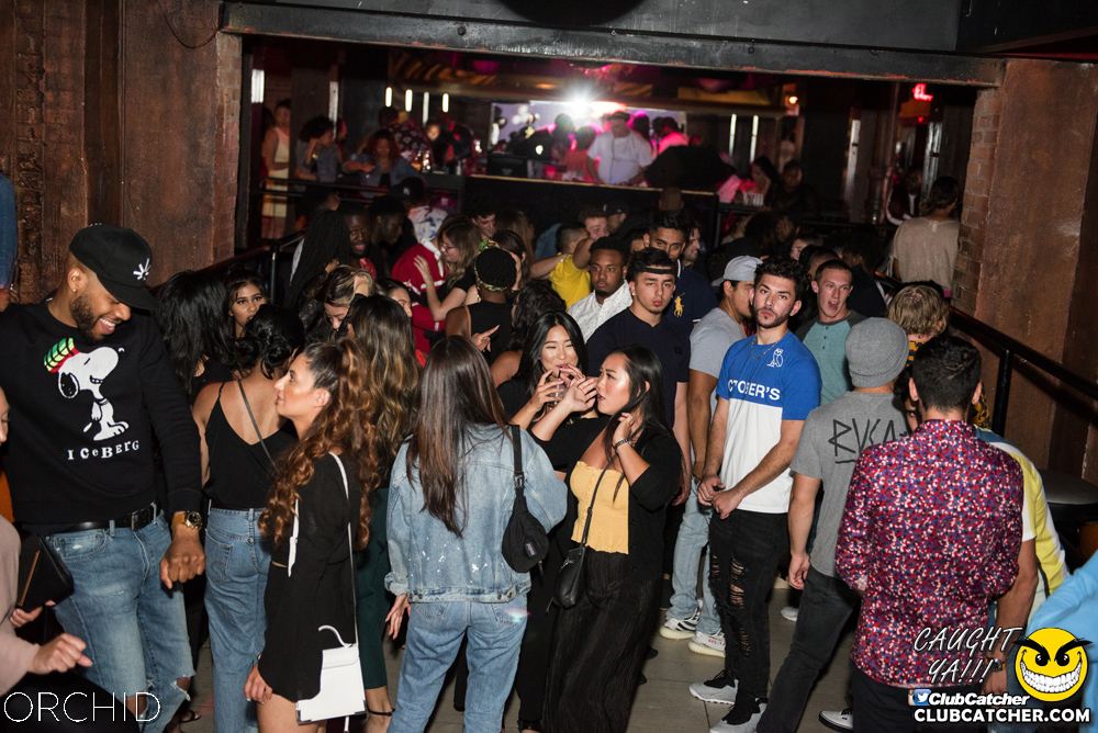 Orchid nightclub photo 52 - August 24th, 2019
