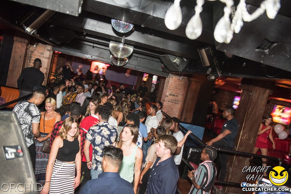 Orchid nightclub photo 59 - August 24th, 2019