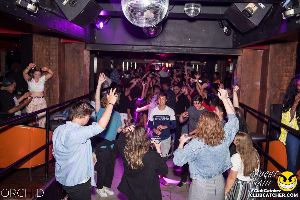 Orchid nightclub photo 67 - August 24th, 2019