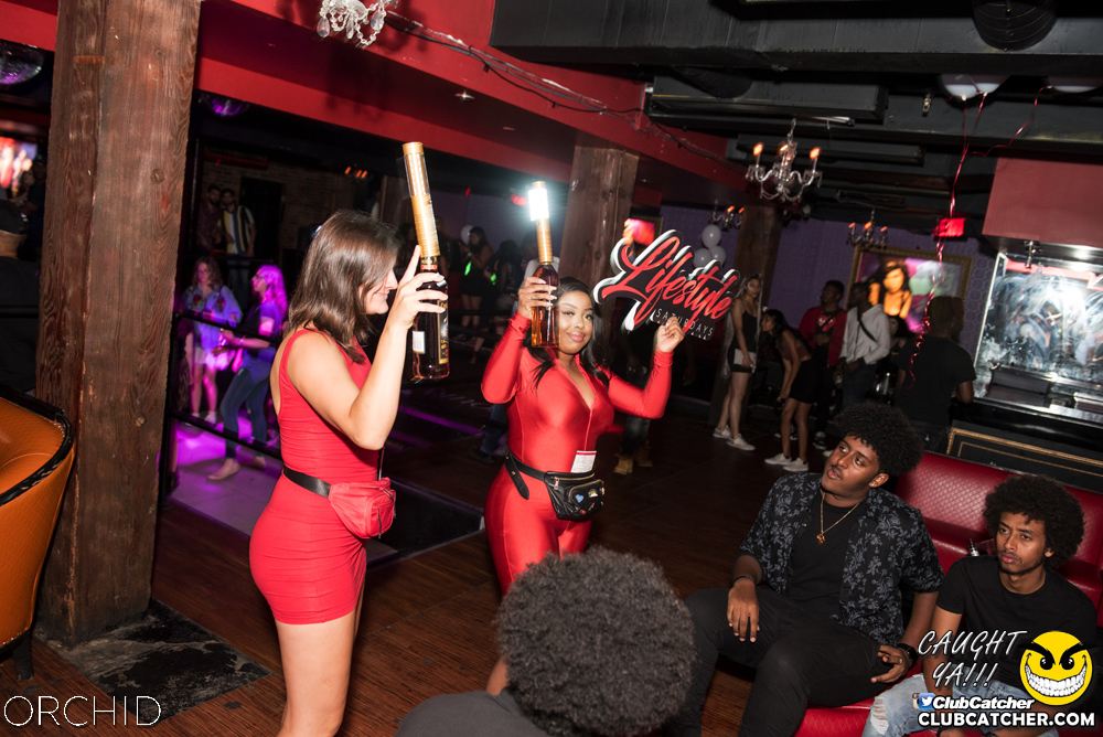 Orchid nightclub photo 73 - August 24th, 2019