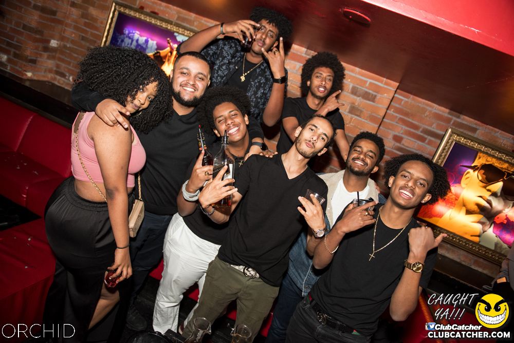 Orchid nightclub photo 74 - August 24th, 2019