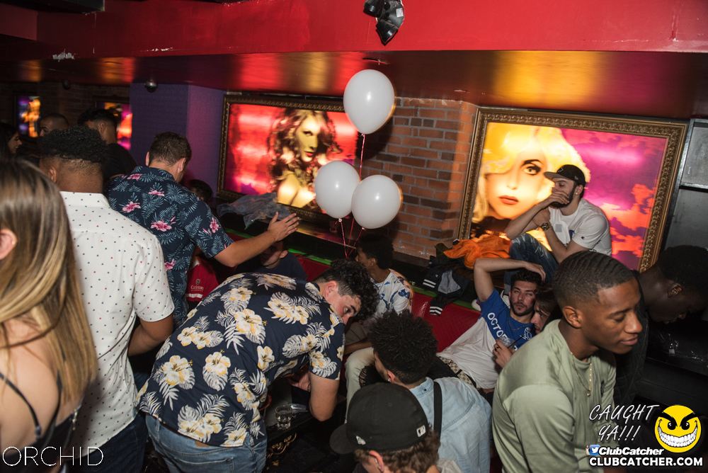 Orchid nightclub photo 75 - August 24th, 2019