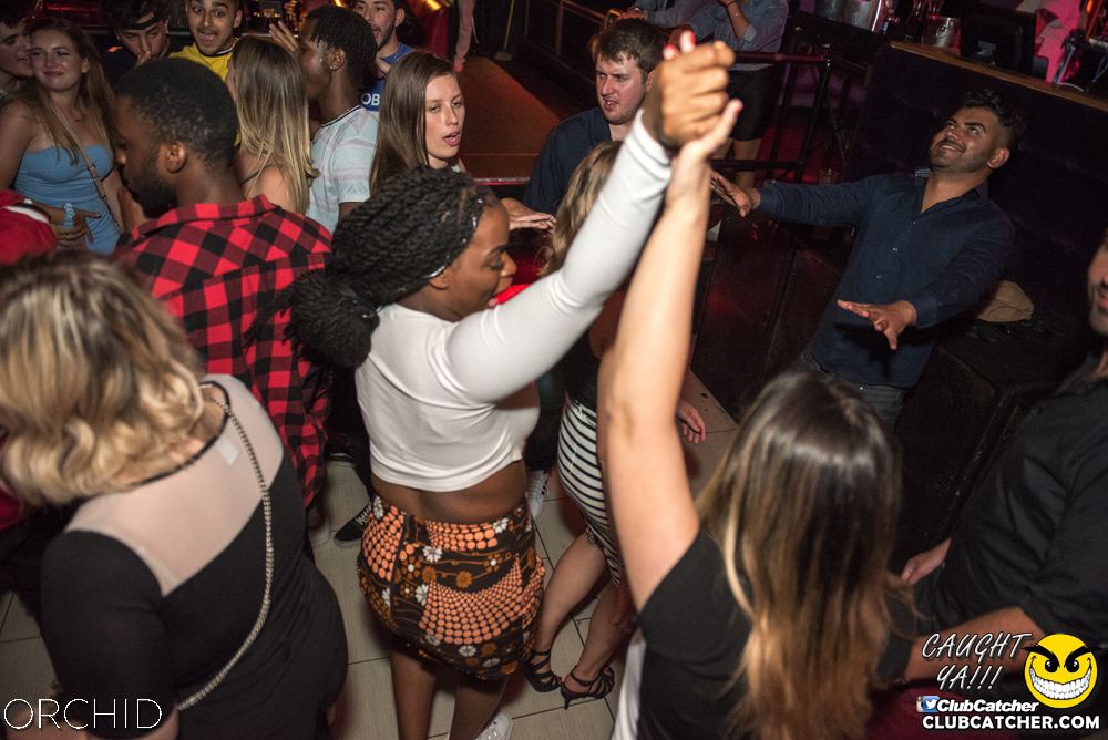 Orchid nightclub photo 79 - August 24th, 2019
