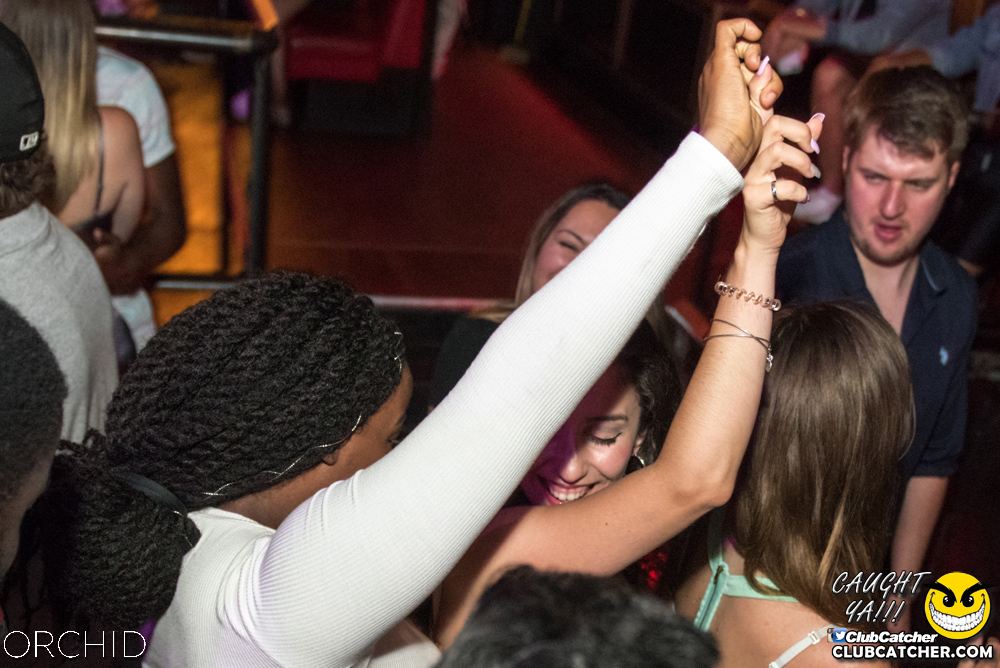 Orchid nightclub photo 80 - August 24th, 2019