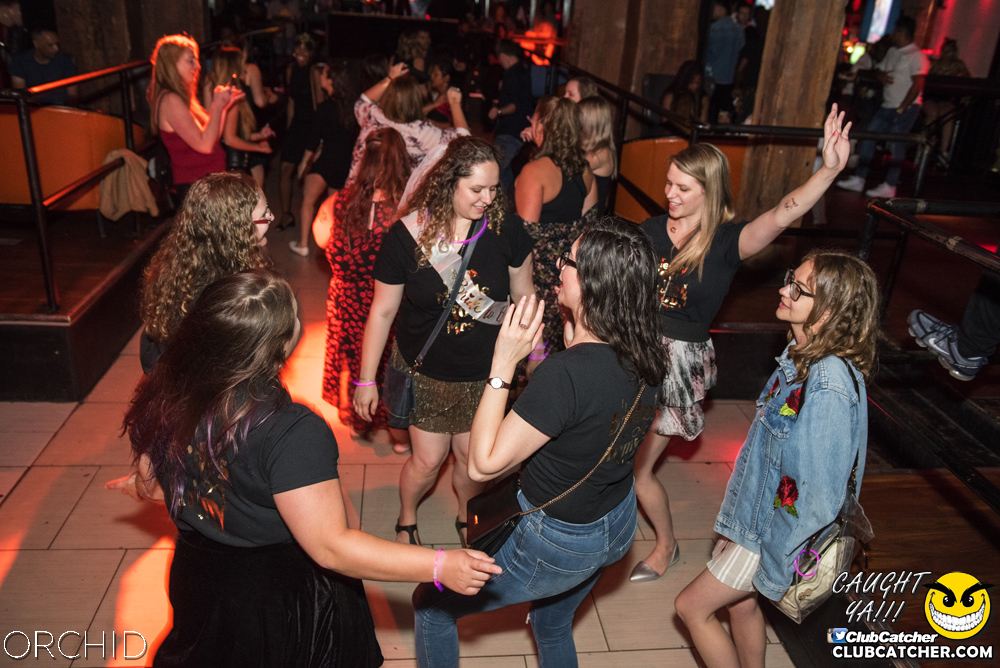 Orchid nightclub photo 81 - August 24th, 2019