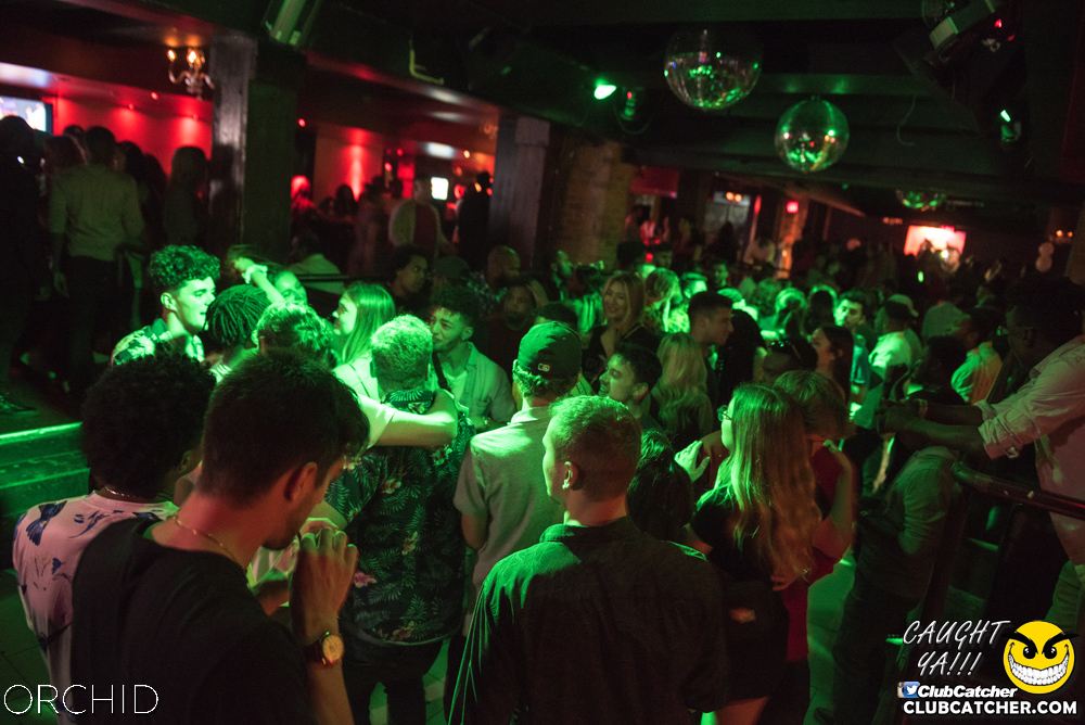 Orchid nightclub photo 83 - August 24th, 2019