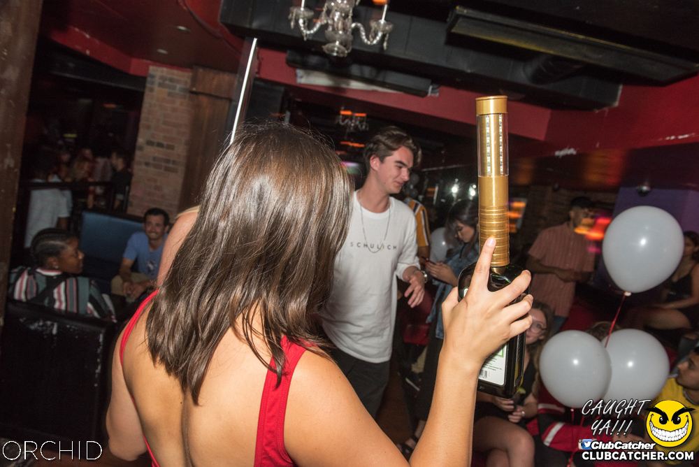 Orchid nightclub photo 84 - August 24th, 2019