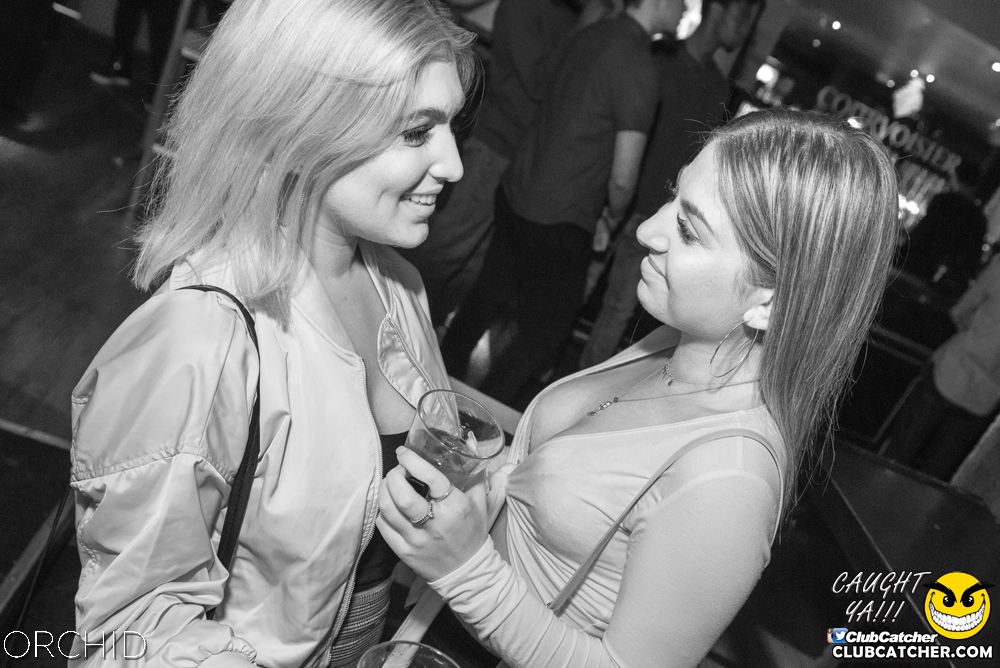 Orchid nightclub photo 87 - August 24th, 2019