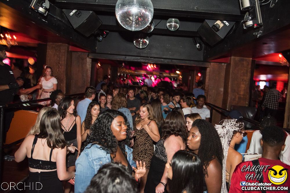 Orchid nightclub photo 91 - August 24th, 2019