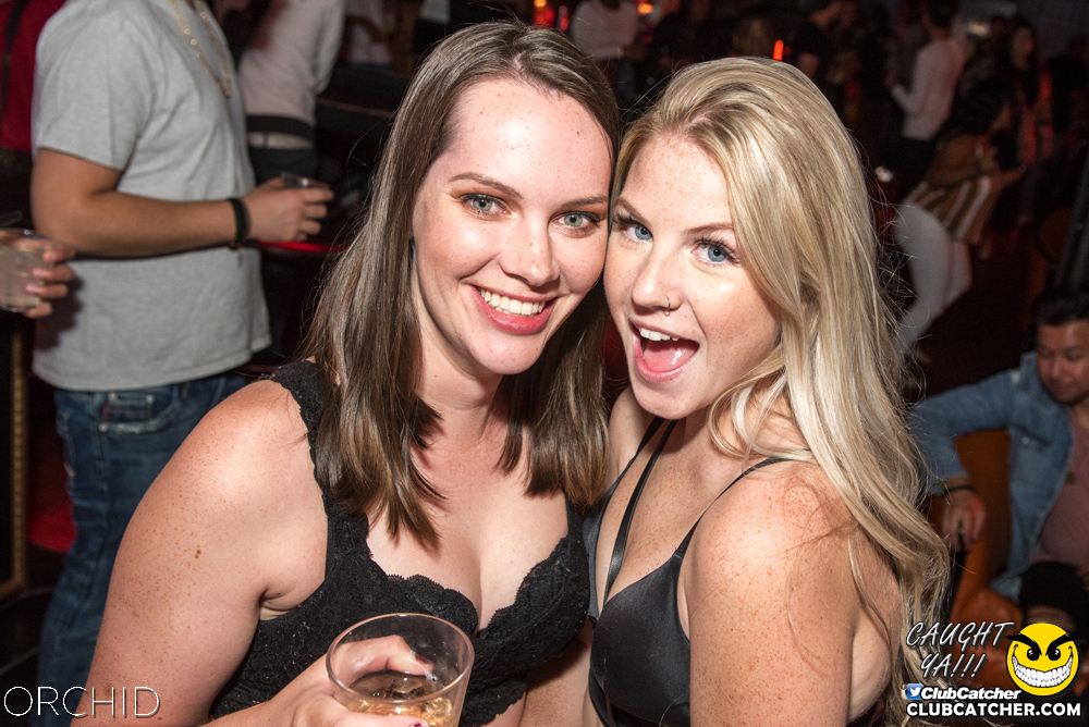 Orchid nightclub photo 96 - August 24th, 2019