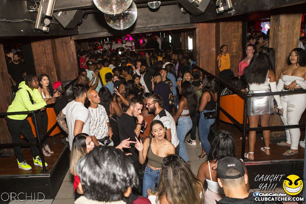 Orchid nightclub photo 103 - August 31st, 2019