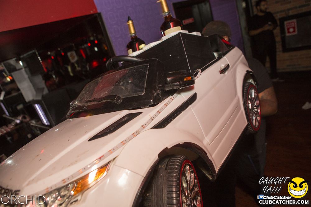 Orchid nightclub photo 123 - August 31st, 2019