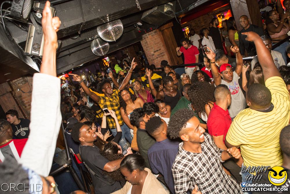 Orchid nightclub photo 125 - August 31st, 2019