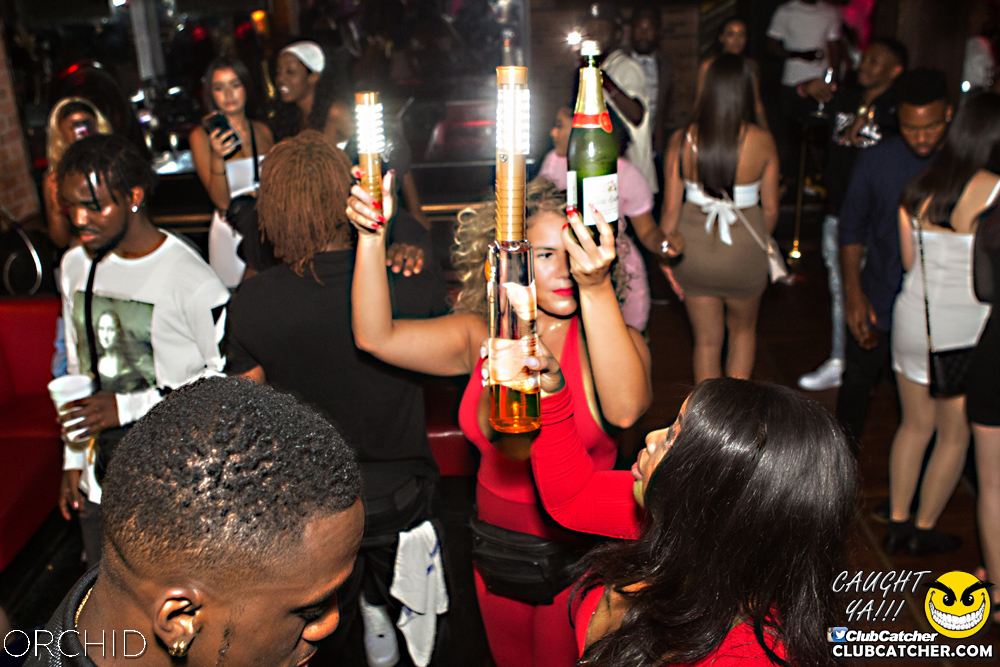 Orchid nightclub photo 134 - August 31st, 2019