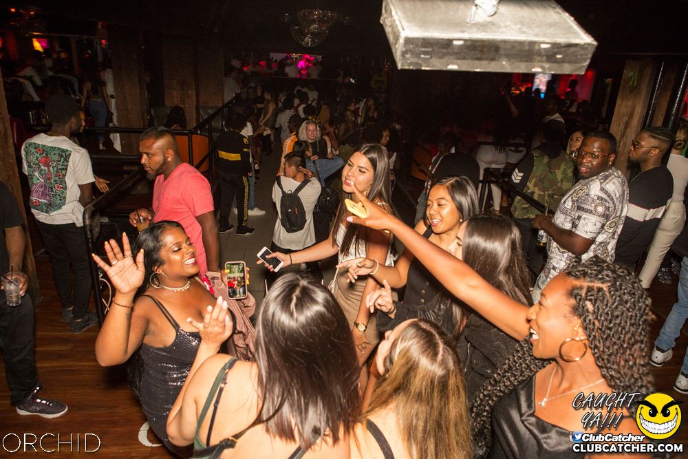 Orchid nightclub photo 19 - August 31st, 2019