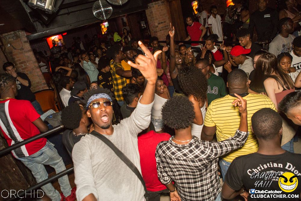 Orchid nightclub photo 29 - August 31st, 2019