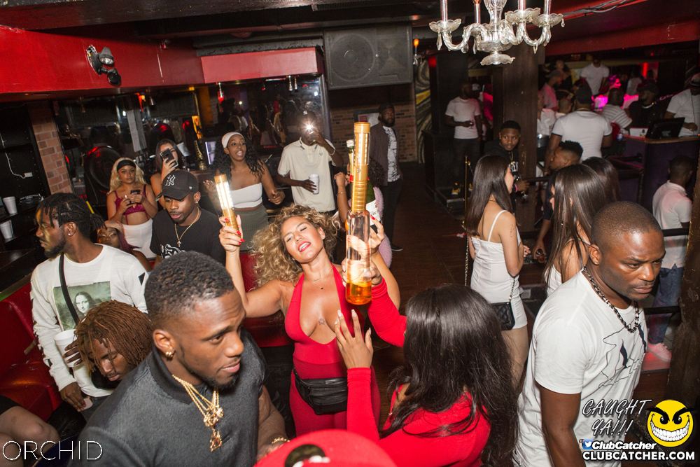 Orchid nightclub photo 30 - August 31st, 2019