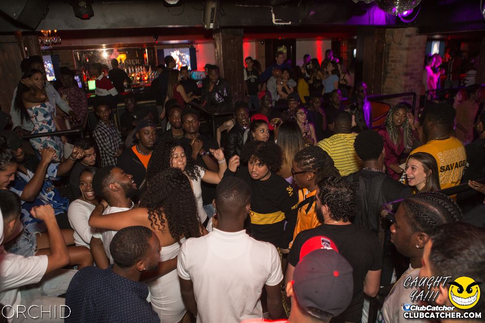 Orchid nightclub photo 35 - August 31st, 2019