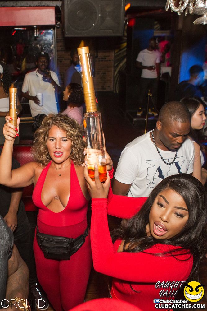 Orchid nightclub photo 46 - August 31st, 2019