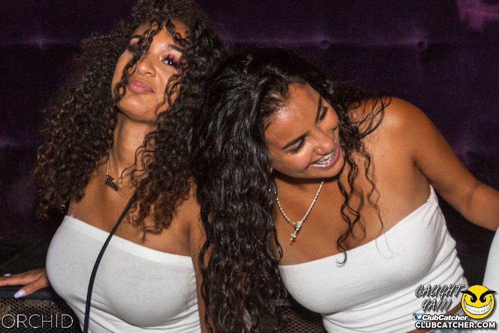 Orchid nightclub photo 48 - August 31st, 2019